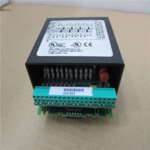 Original New AUTOMATION MODULE PLC DCS GE-IC670MDL730 PLC Module