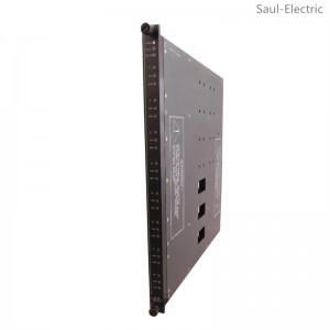 TRICONEX 3617E Digital Input Module delivery time