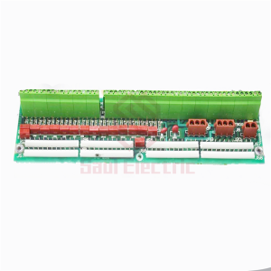 GE DS200EVIAG1B Pickup Interface Board