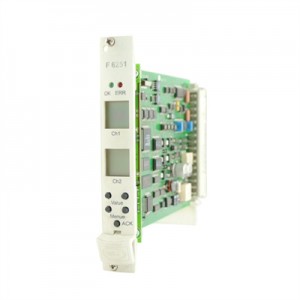 HIMA F6251 Digital Output Module-Guaranteed Quality