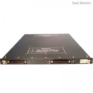 TRICONEX 3000106-010 2750 Module Global best-seller