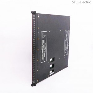 TRICONEX DO3401 digital output module delivery time