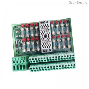 Triconex 9662-610F Panel field termination option delivery time